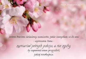 Magnes na lodówkę - Jestem Bowiem świadomy Jabłoń