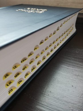 Nowa Biblia gdańska ekoskóra miękka,GRANAT wycięci