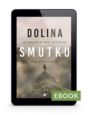 Dolina smutku - E-book