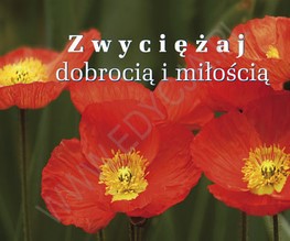 Perełka 193 - Zwyciężaj dobrocią