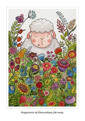 Pocztówka z kolorowanką - Przypatrzcie się liliom