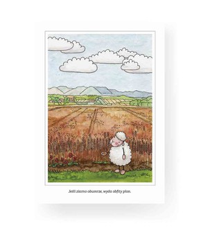 Pocztówka z kolorowanką - Przypatrzcie się liliom