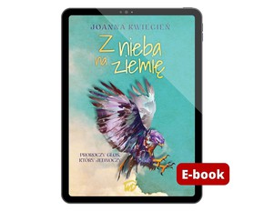 Z nieba na ziemię - E-book