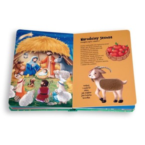 Biblia - Zobacz dotknij poczuj!