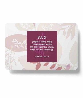 Magnes na lodówkę - Pan jedynie skałą