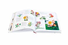 Ilustrowana encyklopedia dla dzieci