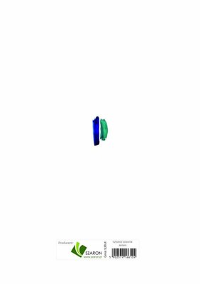 Mój dziennik - Jestem bowiem 