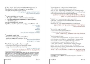 Księga Daniela -  tekst biblijny dwujęzyczny